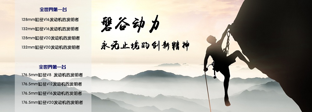 柴油发动机 柴油发动机