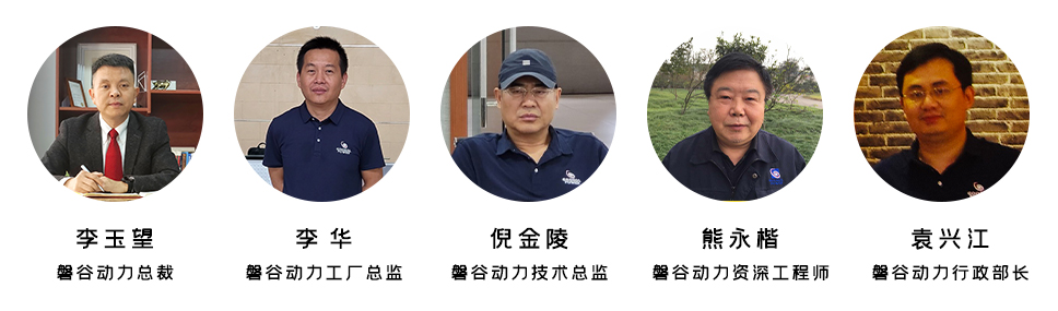 柴油发动机 柴油发动机